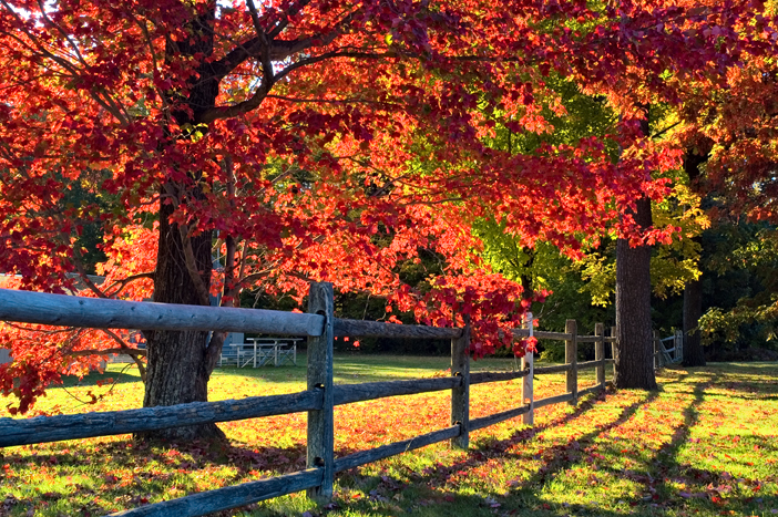 Depot Rd, Hollis, NH 01