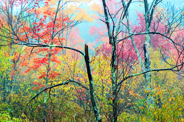 Fall Mist, Nashua, NH