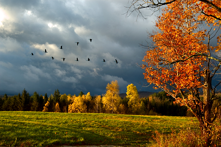 Green Mountains, Vermont 01