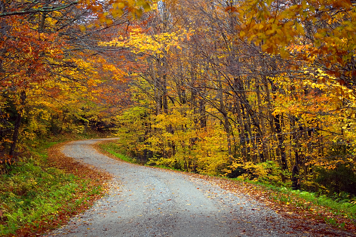 Green Mountains, Vermont 03