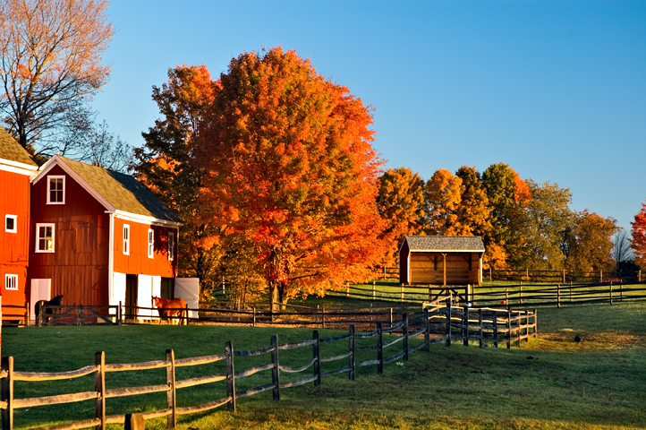 Olde Worcester Farm Barn, Hollis, NH 02