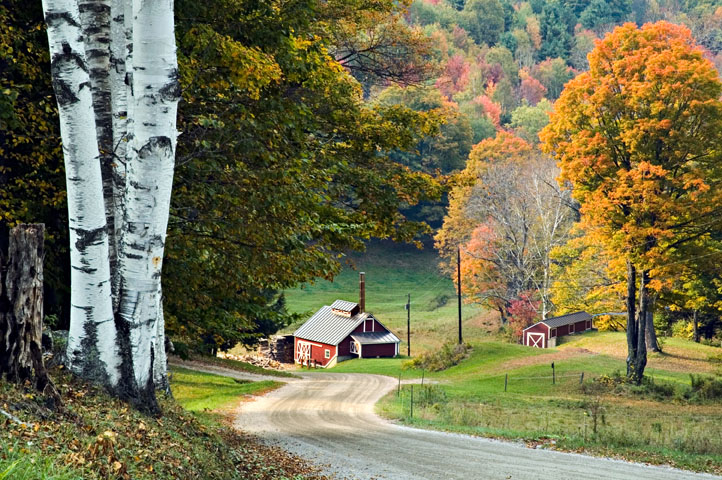 Sugar Shack, Spring Brook Farm, Reading, VT