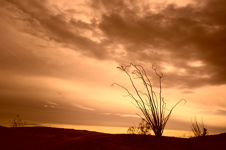 Anza Borrego Desert  