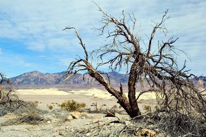 Furnace Creek, Death Valley National Park 03