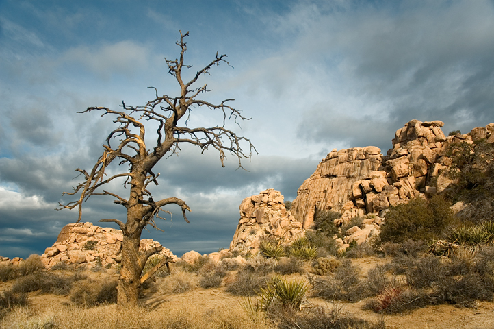 Hidden Valley, Joshua Tree National Park 02