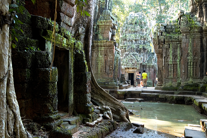 Ta Prohm, Angkor 02