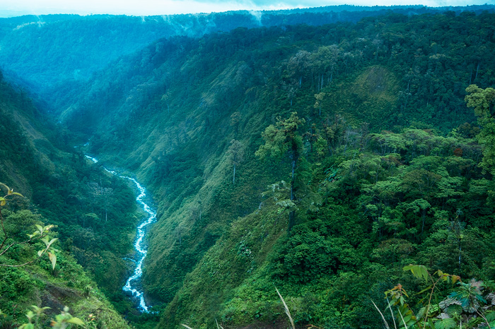 Cloud Rain Forest, Costa Rica 02