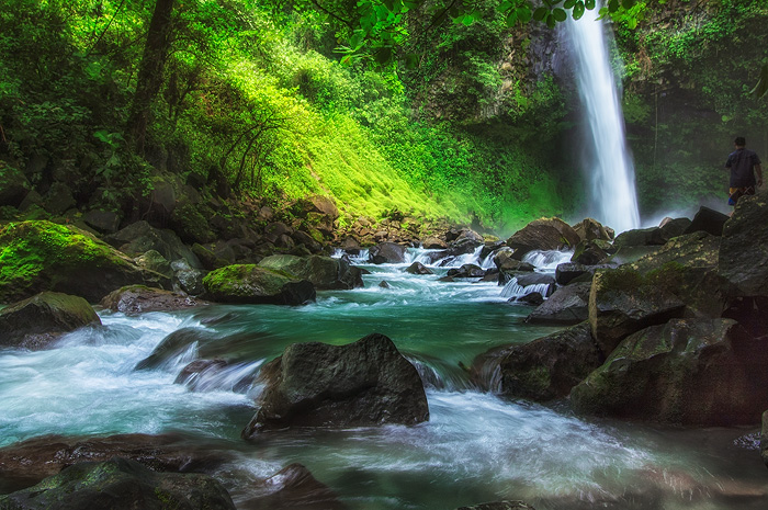 Cloud Rain Forest, Costa Rica 04