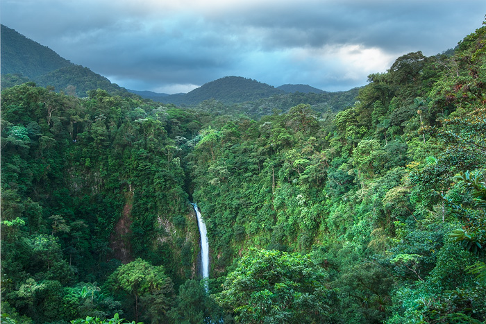 Cloud Rain Forest, Costa Rica 05