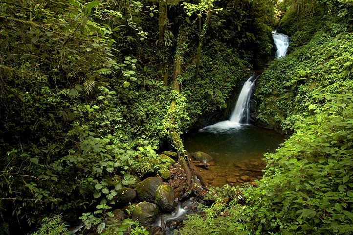 Monteverde, Costa Rica