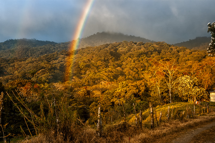 Rain Forest Rainbow, Costa Rica