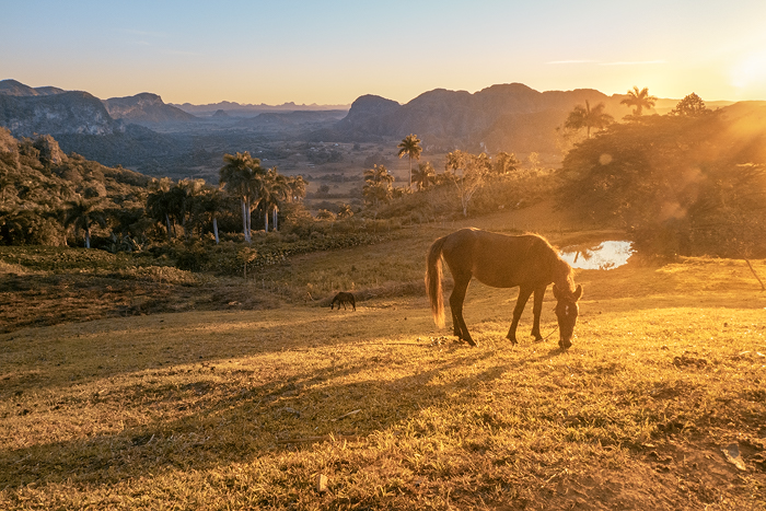 Vinales 03  