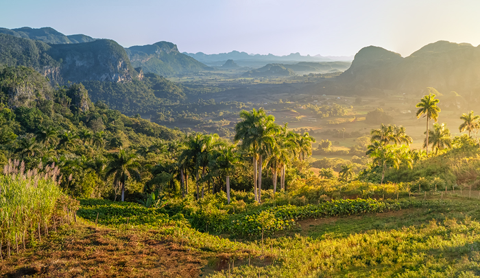 Vinales 04