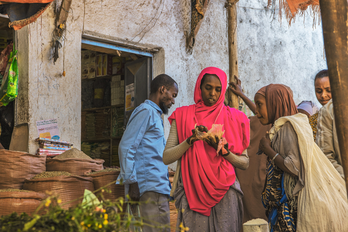 Harar 05