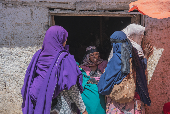 Harar 15