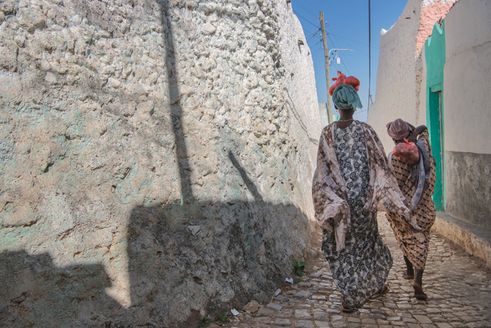 Harar 43