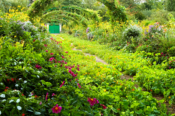 Monet Garden, Giverny