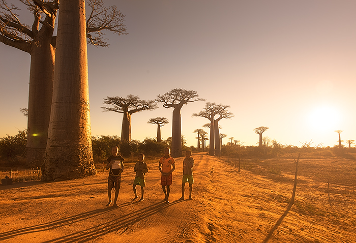 Baobab Alley, Morondava 04