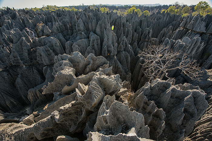 Tsingy de Bemaraha National Park 04