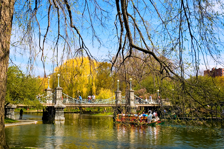 Boston Common, MA 01