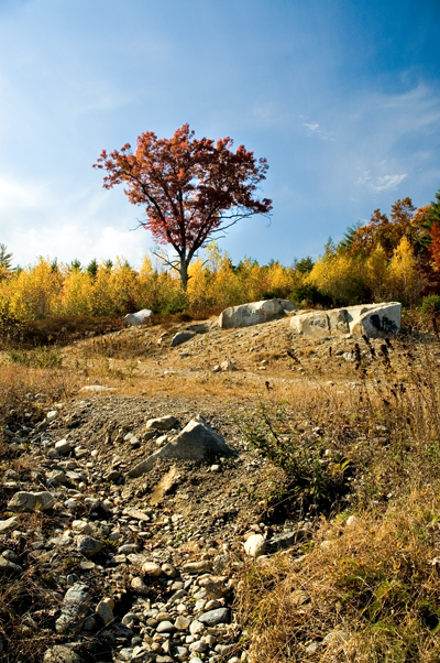 Amos Kendall Conservation, Dunstable, MA 03