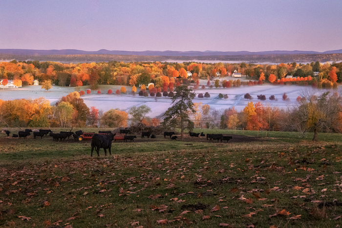 Gibbet Hill Farm, Groton, MA 02