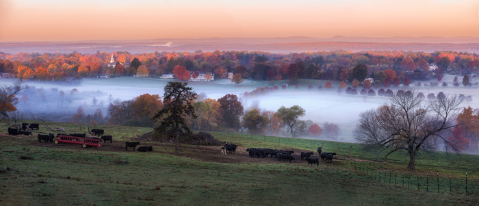 Gibbet Hill Farm, Groton, MA 10