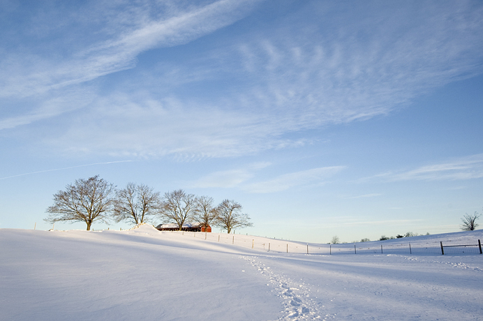 Gibbet Hill Farm, Snow, Groton, MA 01