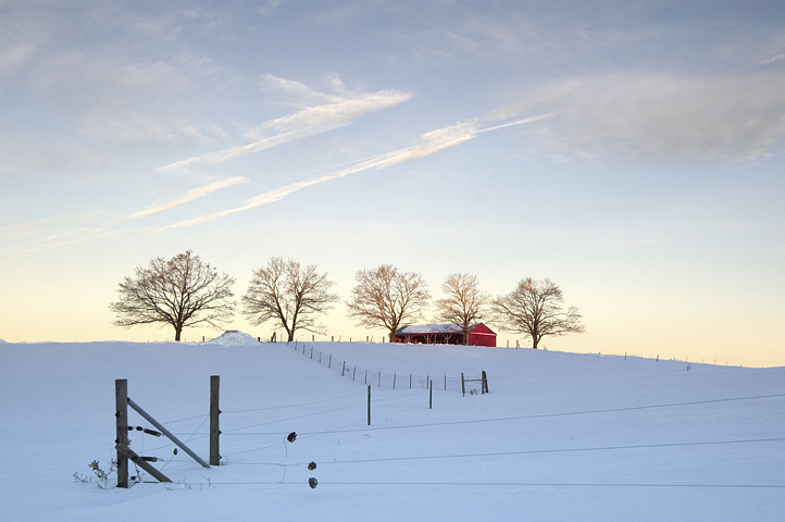 Gibbet Hill Farm, Snow, Groton, MA 03  