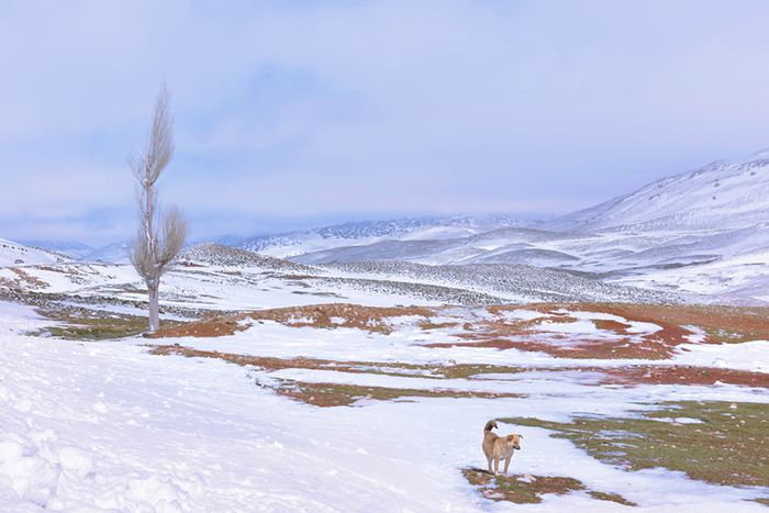 Countryside 10  