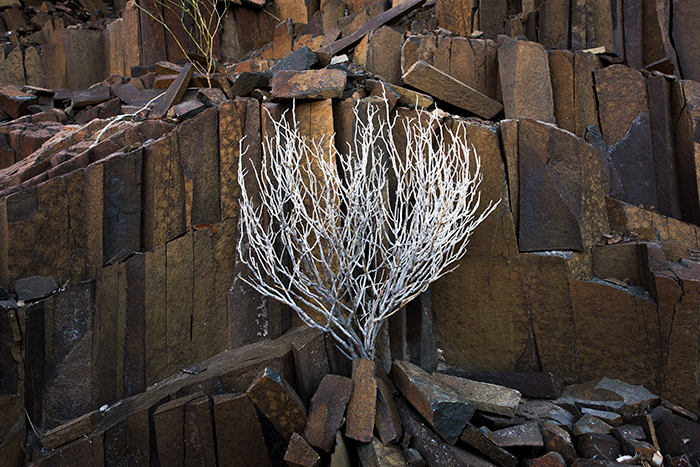 Damaraland 03