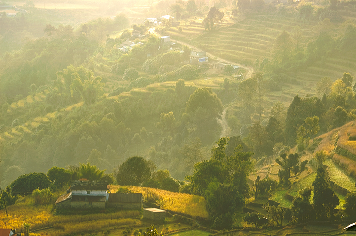 Terrace, Dhampus,  Annapurna Base Camp, Nepal