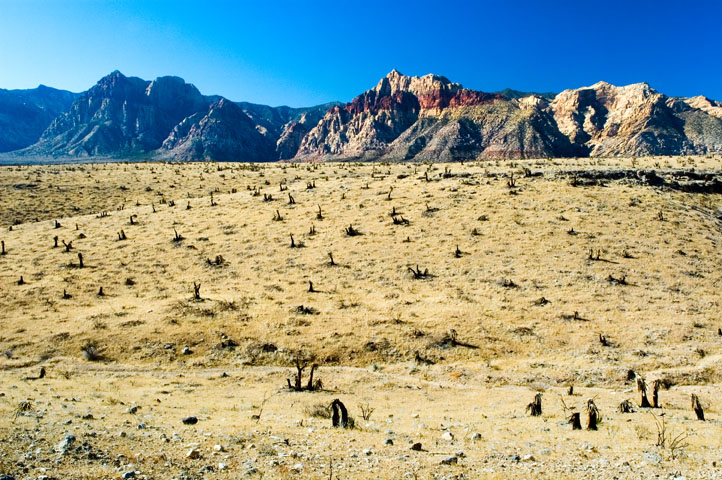 Pine Creek Canyon, Red Rock Canyon 01