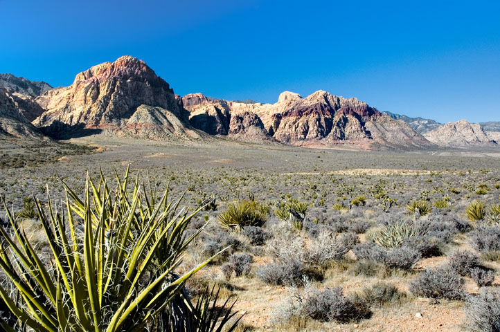 Pine Creek Canyon, Red Rock Canyon 03