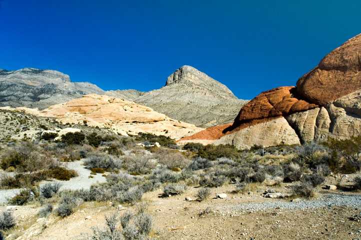 Sandstone, Turtlehead, Red Rock Canyon  