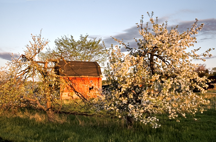 Woodmont Apple Orchard, Hollis, NH 08