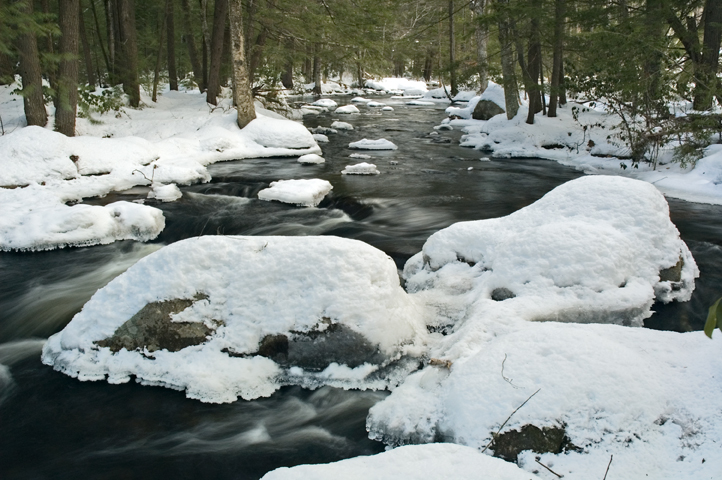 Purgatory Brook, Milford, NH  