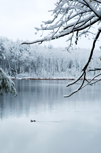 Lovewells Pond, Nashua, NH 04