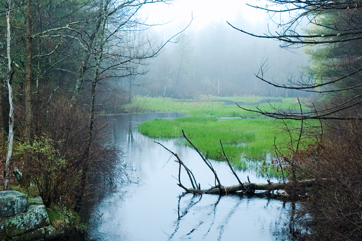 Salmon Brook, Nashua, NH 06