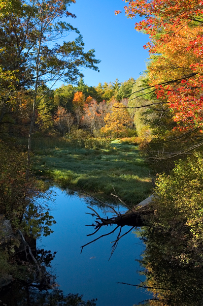 Salmon Brook, Nashua, NH 09