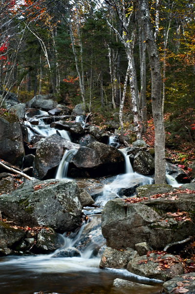 Zealand Falls, White Mountains, NH 03