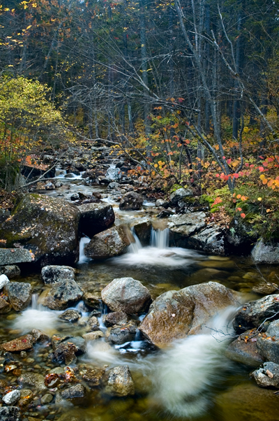 Zealand River, White Mountains, NH