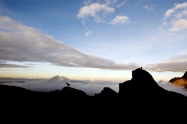 Kibo Hut, Kilimanjaro National Park, Tanzania 01