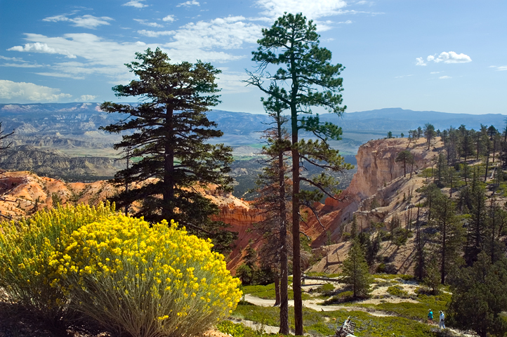 Black Birch Canyon, Bryce Canyon National Park 02