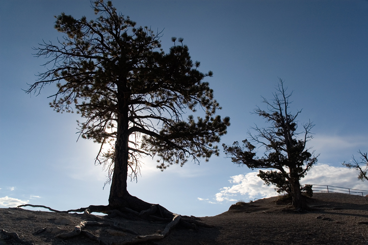 Inspriration Point, Bryce Canyon National Park 08