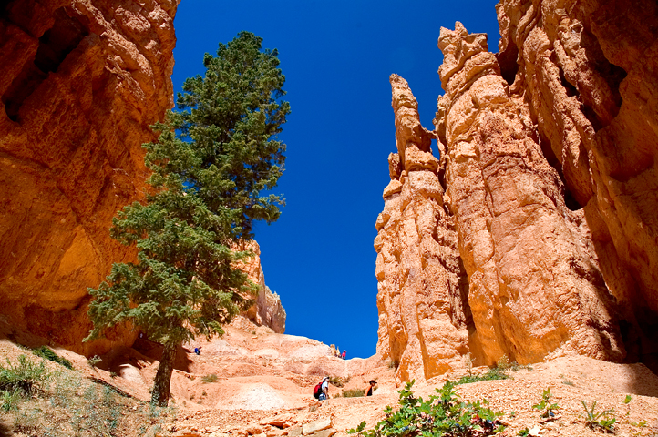 Navajo Loop, Bryce Canyon National Park 06