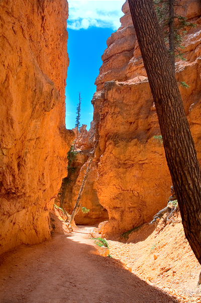 Navajo Loop, Bryce Canyon National Park 07