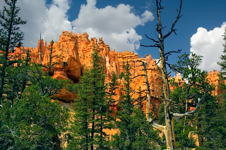 Navajo Loop, Bryce Canyon National Park 08