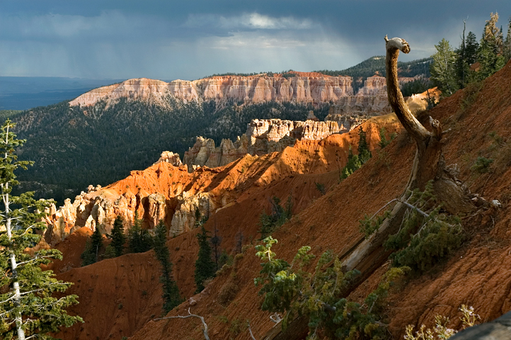 Ponderosa Canyon, Bryce Canyon National Park 04