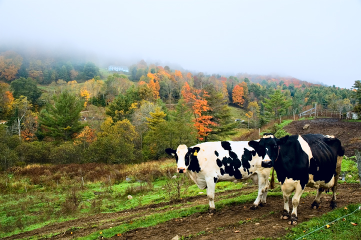 East Corinth, VT 05